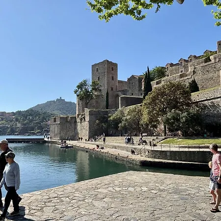 Apartment En Centre Historique - 2 Couchages A - Fr-1-225-656 Collioure