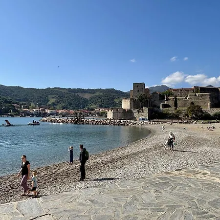 Collioure, 1 Pièce, 2 Personnes - Fr-1-225-656 Collioure