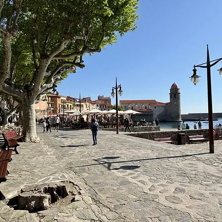 Collioure, 1 Pièce, 2 Personnes - Fr-1-225-656 Appartement *